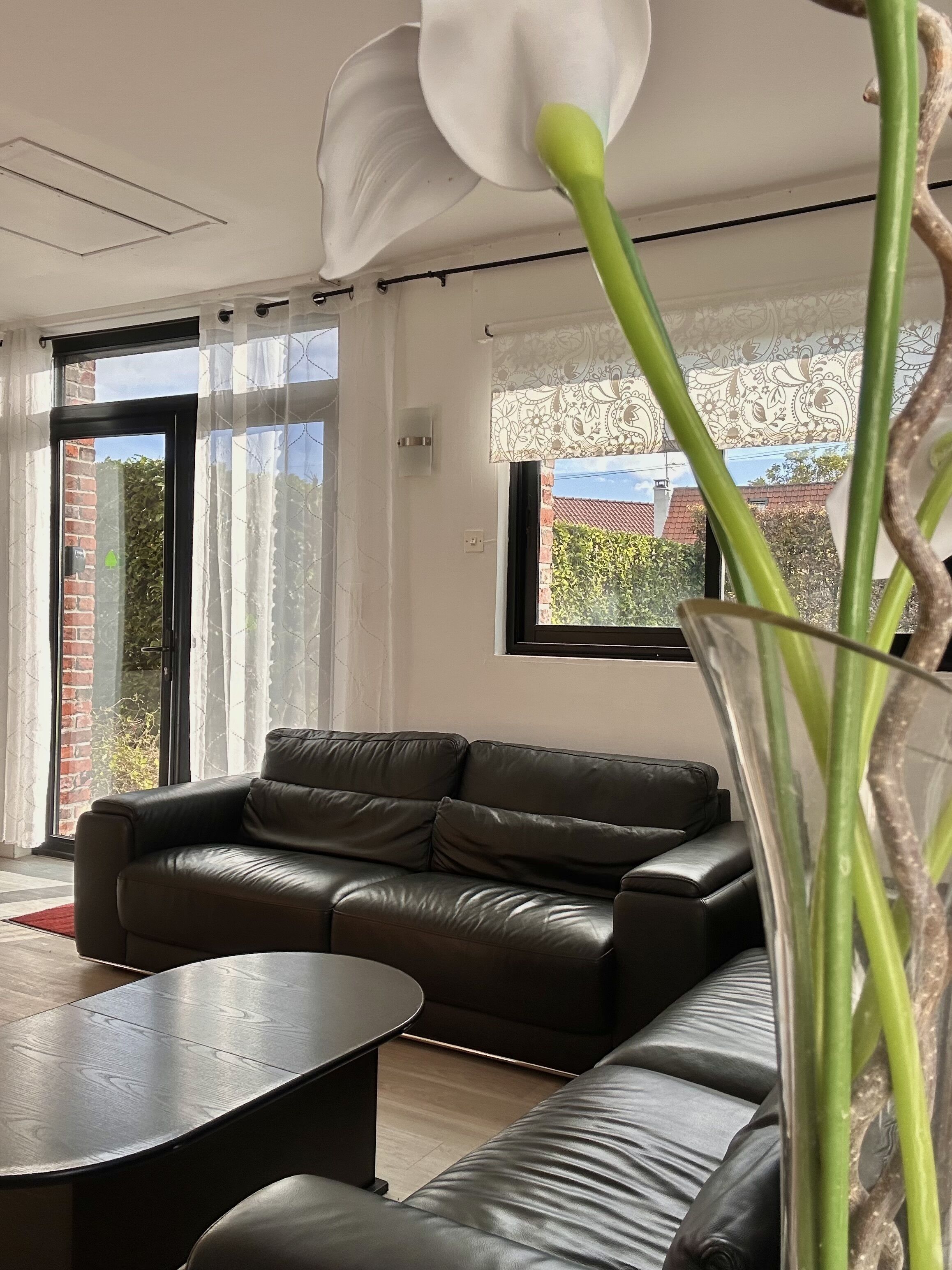 Télévision, table de tennis de table