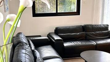 TV, table tennis