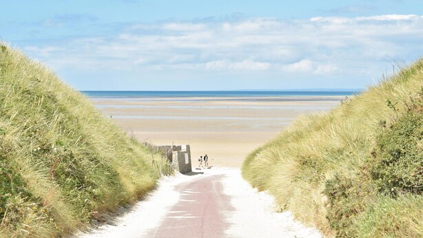 Ein Weg, der zu einem Strand mit Dünen an beiden Seiten führt.