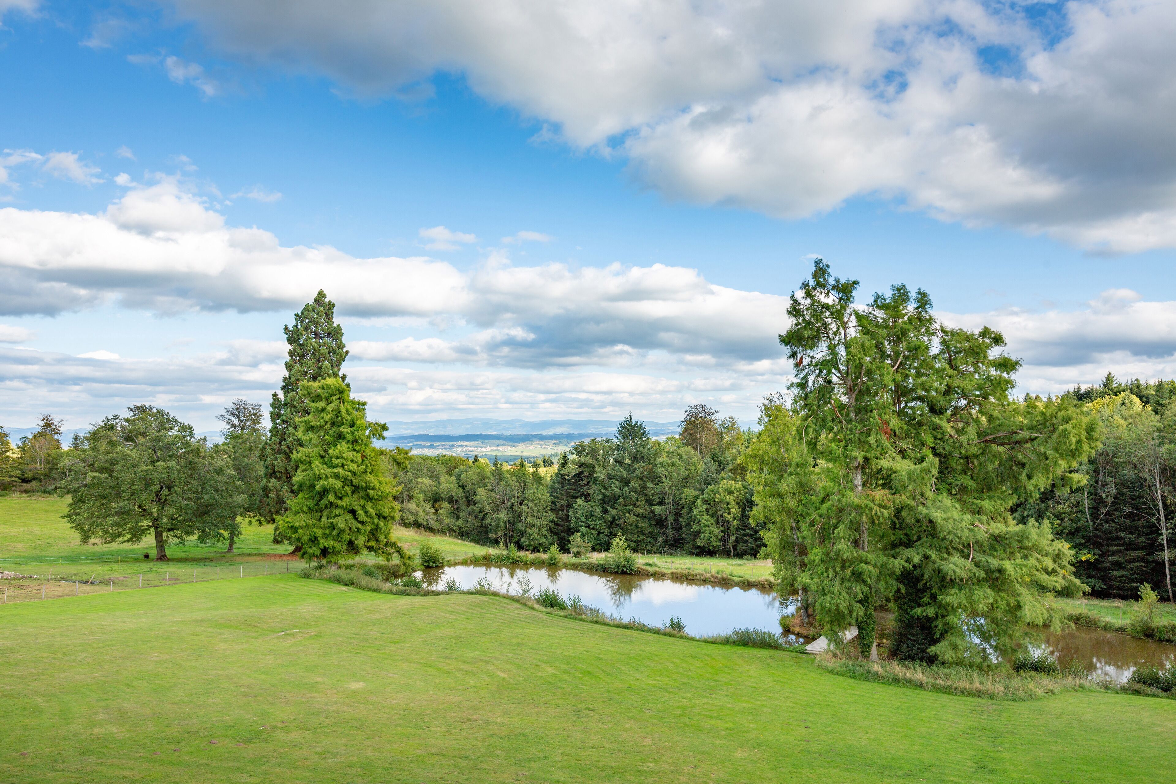 Un paisaje sereno con un estanque, césped verde exuberante y diversos árboles.