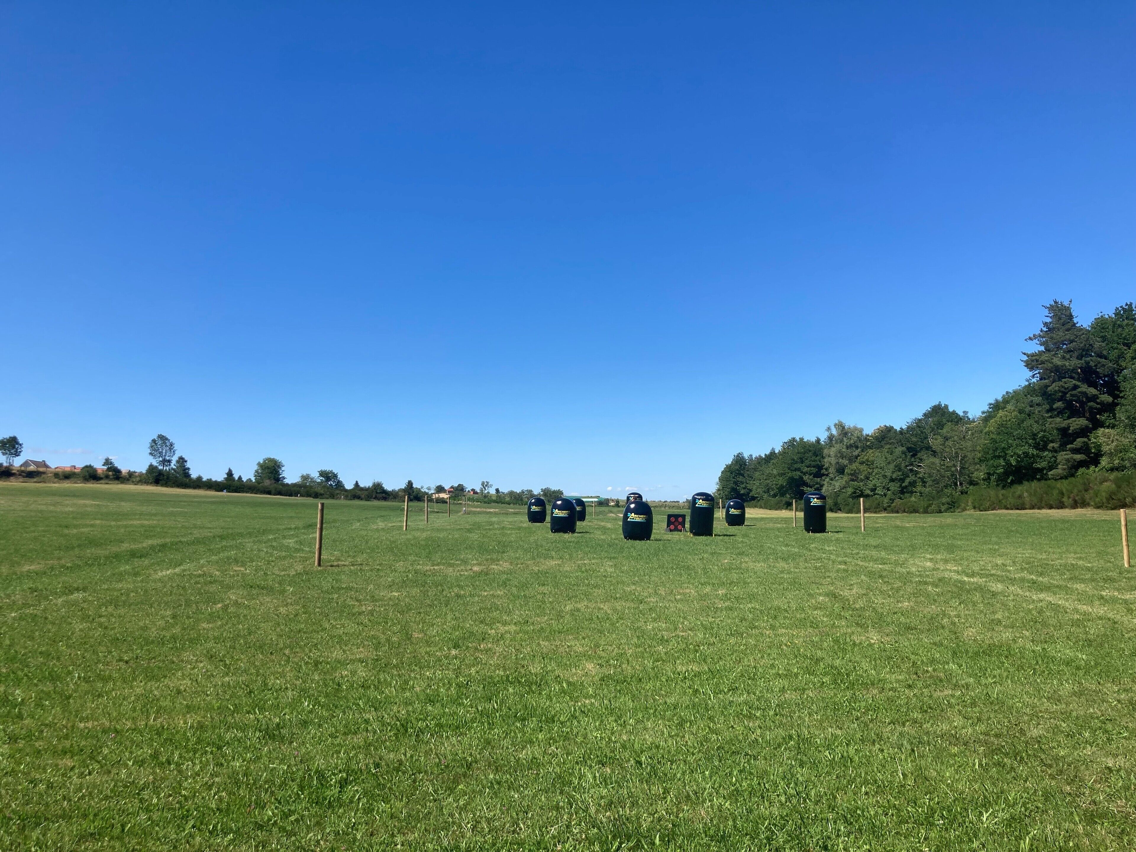 A large, open grassy field with several black bollards and wooden posts.