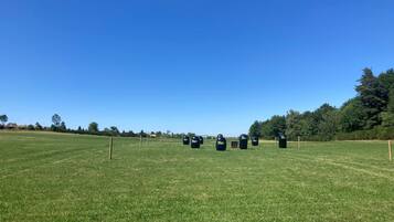 A large, open grassy field with several black bollards and wooden posts.