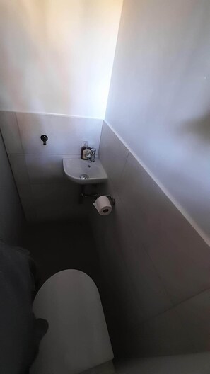 Shower, towels, toilet paper