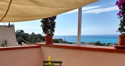 Eucalyptus - near Club Med