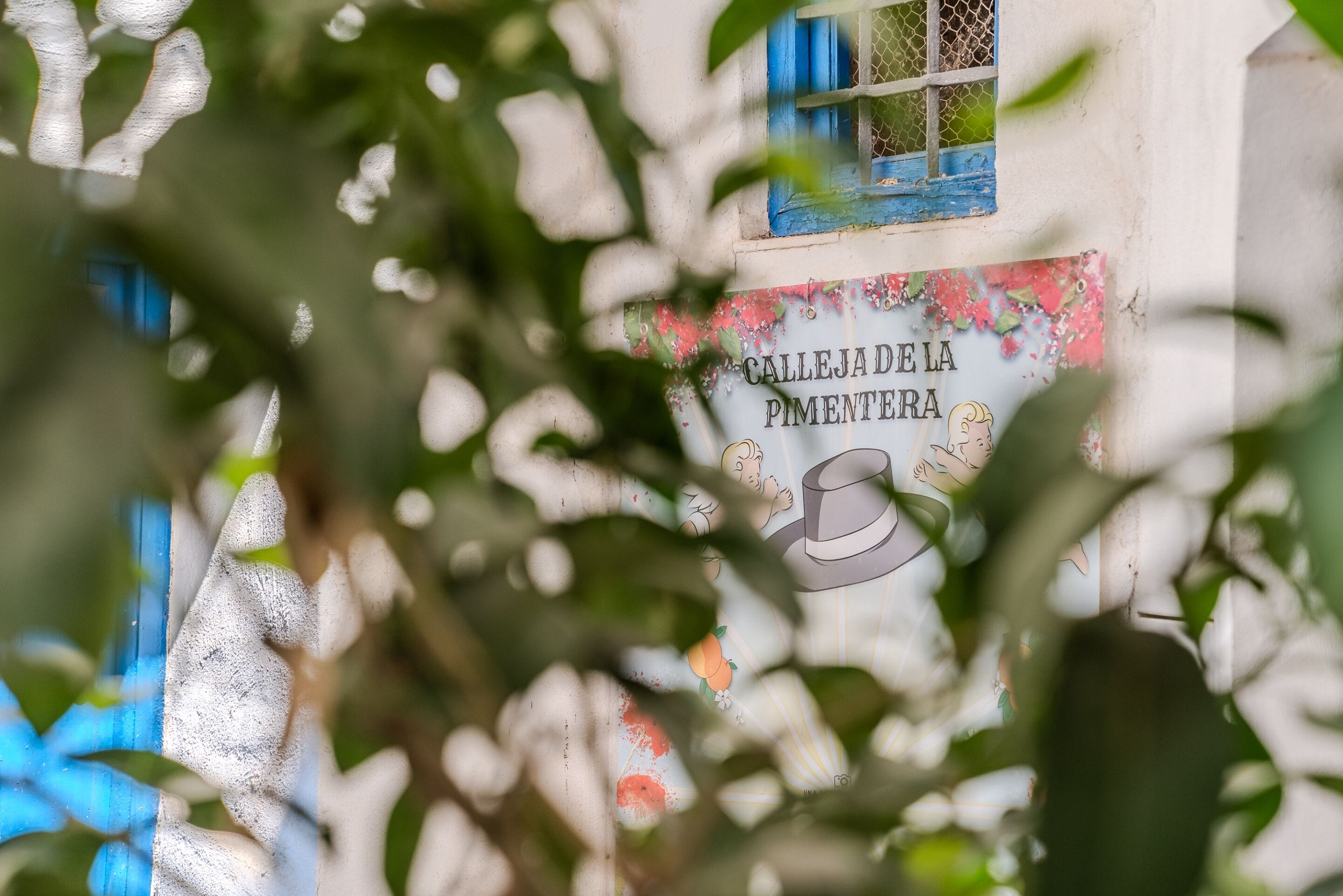 Photo - Calleja La Pimentera