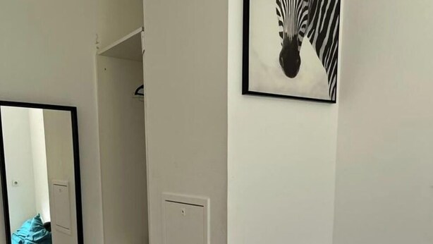 A hallway with a white wardrobe, a mirror, and a zebra print artwork on the wall. - Apartment near Paris (Noisy-le-Grand)