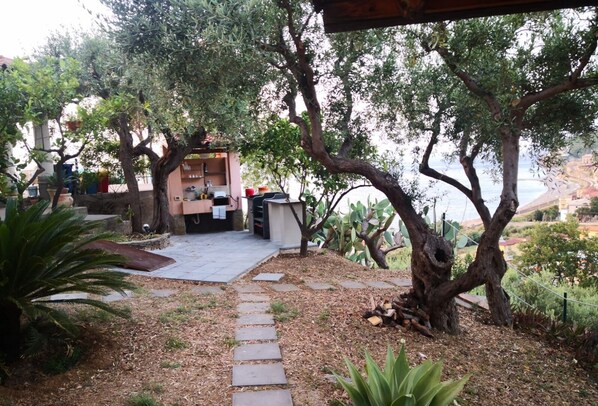 A patio area with a stone pathway leading to a seating area with a table and chairs, surrounded by olive trees and cacti.
