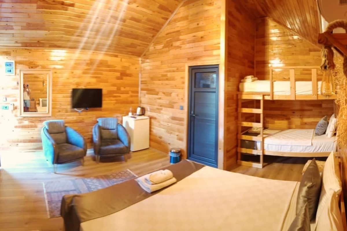 A wooden cabin interior with a bed, two armchairs, a television, and a small kitchenette.