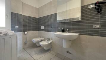 Shower, hair dryer, bidet, towels