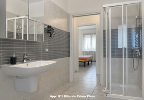 Shower, hair dryer, bidet, towels