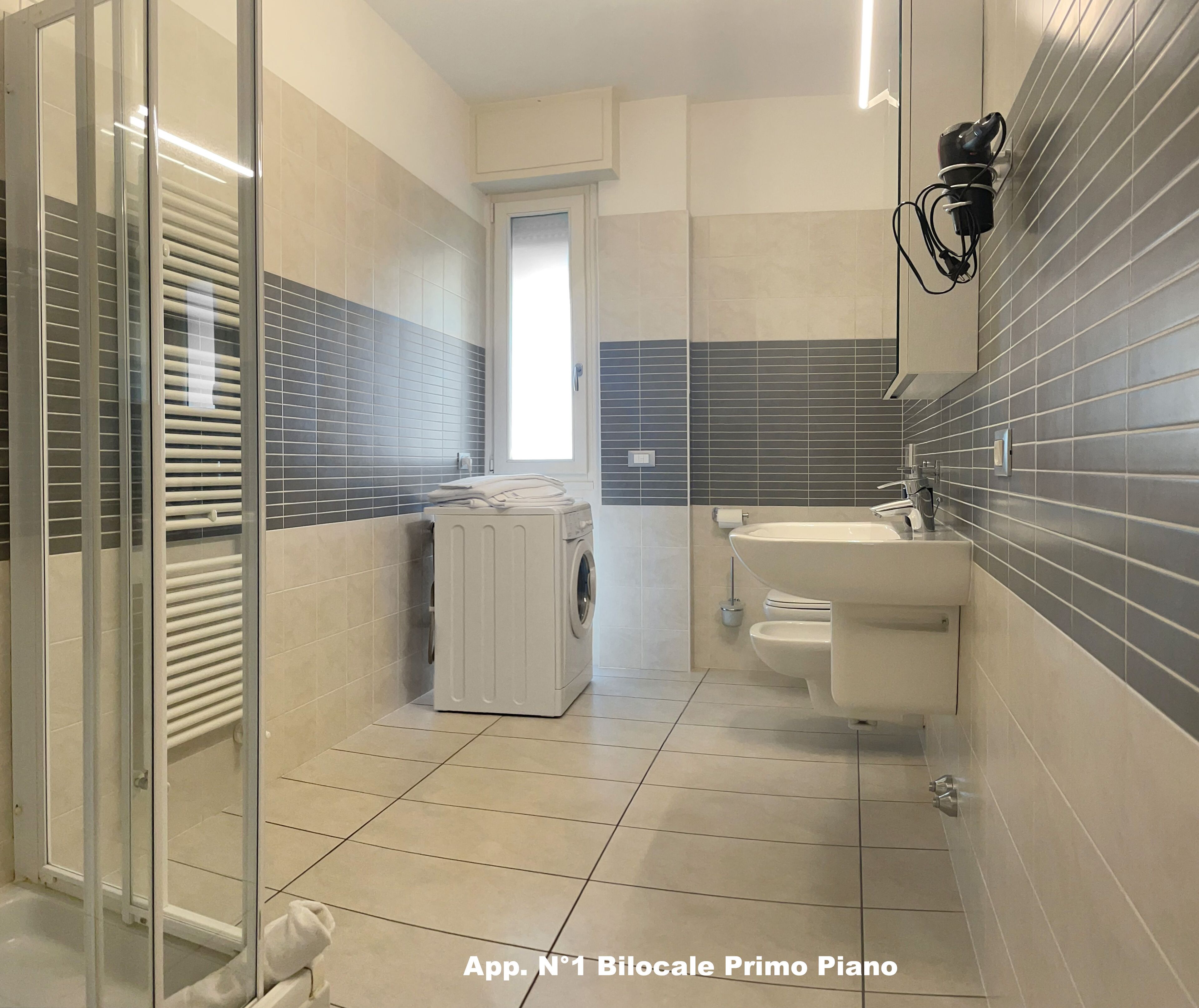 Shower, hair dryer, bidet, towels