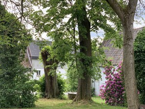 Property grounds - Nature farm in the Bergisch region for wonderful days of relaxation in the "Paul" vacation apartment (Reichshof - Eiershagen)