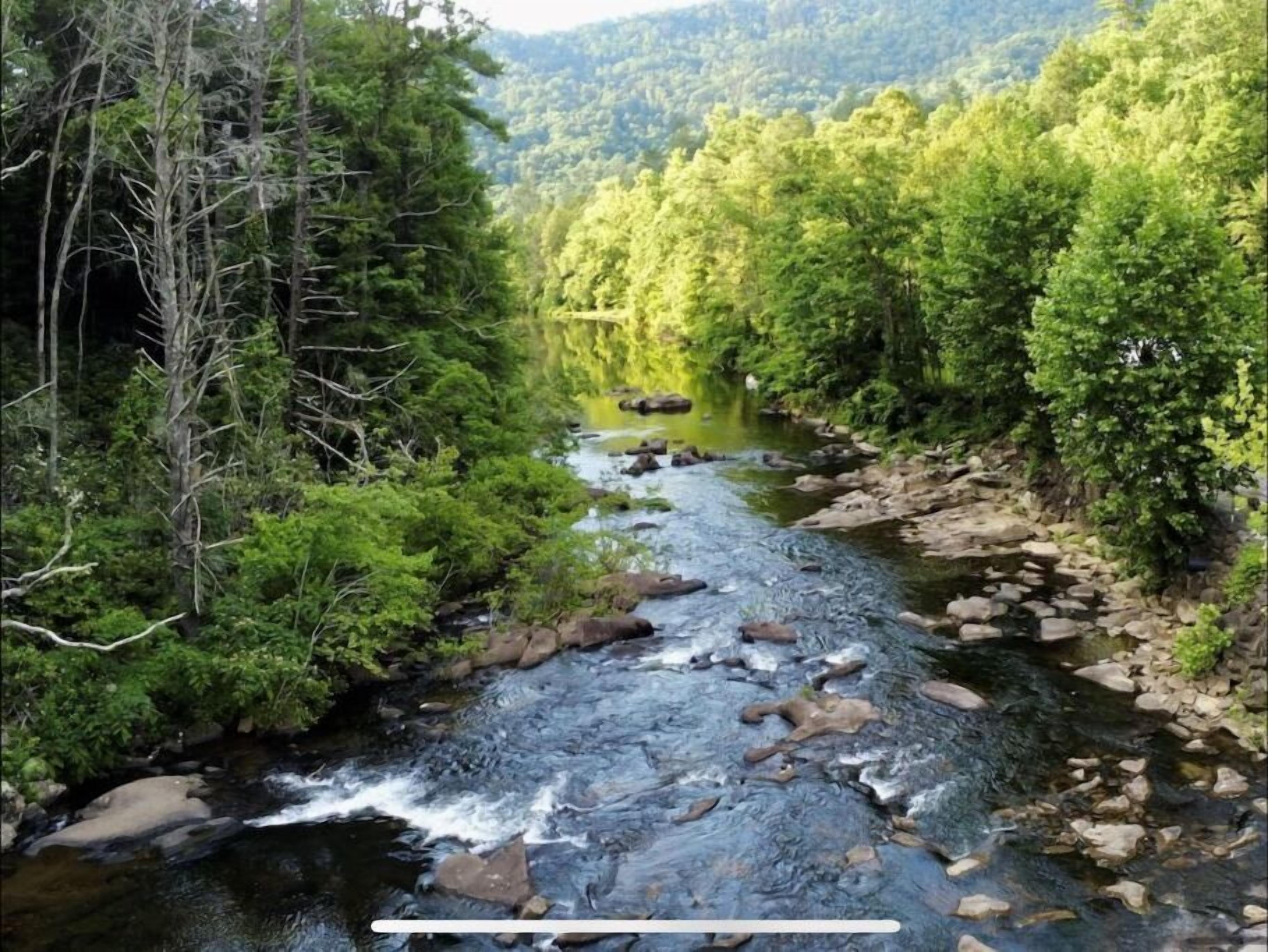 A river flowing through a forested area with dense greenery on both sides.