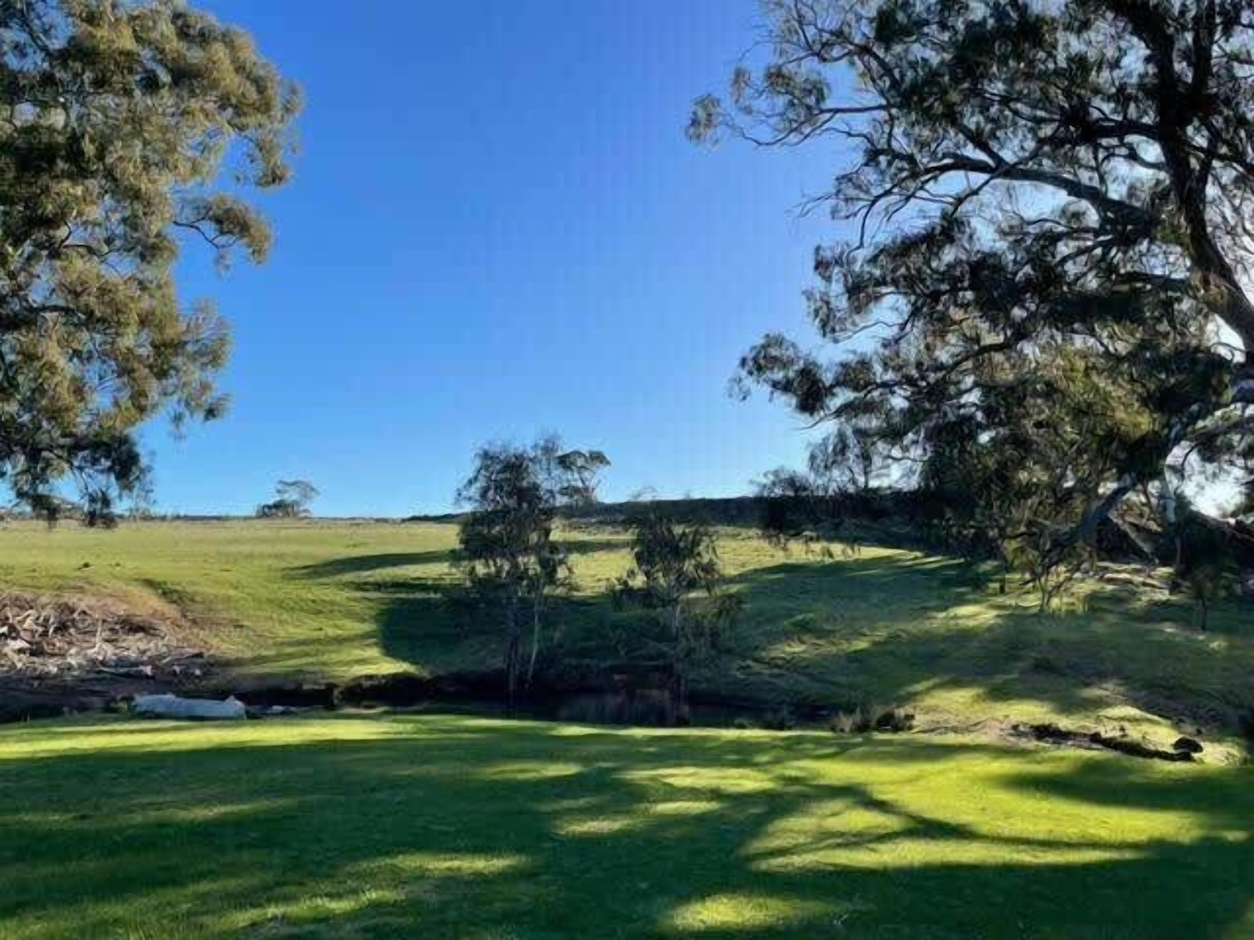 A grassy field with trees and a clear blue sky.