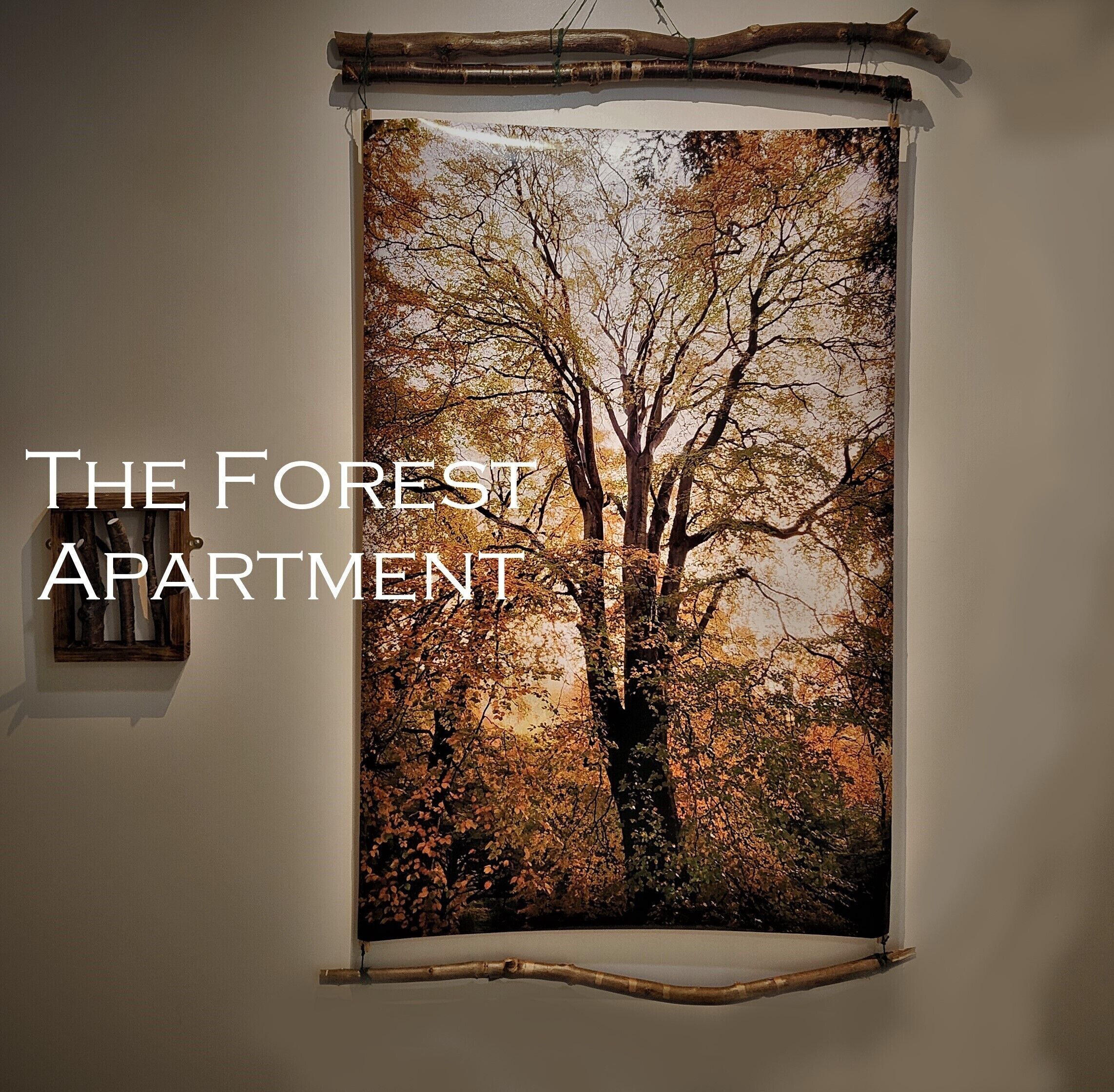Une photographie encadrée représentant une scène de forêt, avec la légende : « L’APPARTEMENT DE LA FORÊT ».