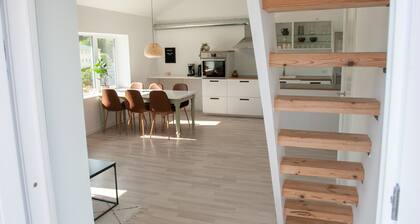 Stadium - Central - Park - Art Gallery