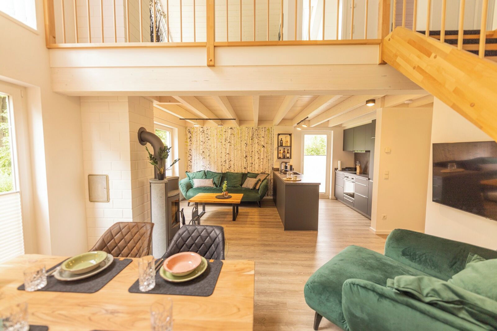 TV, fireplace, books