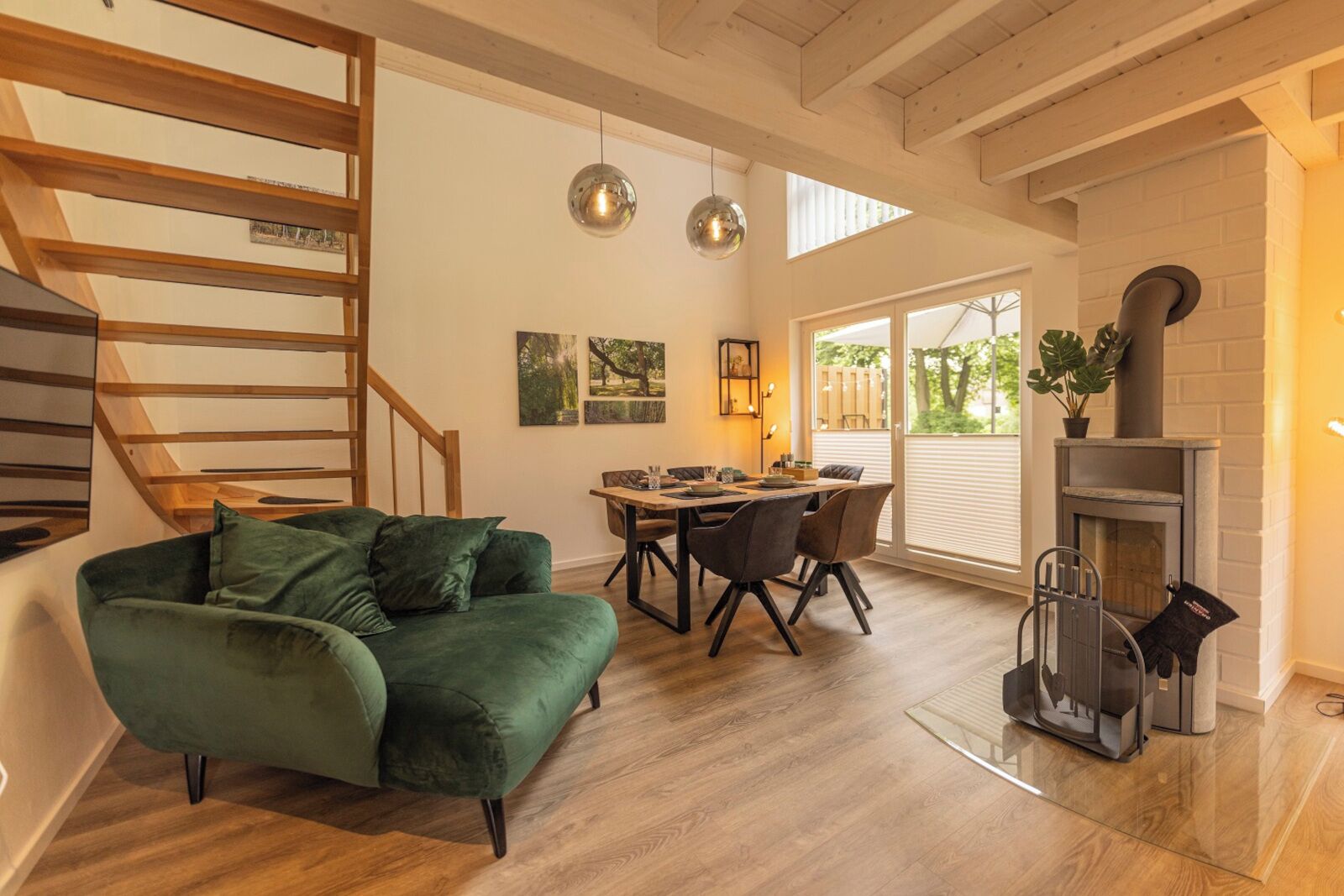 TV, fireplace, books