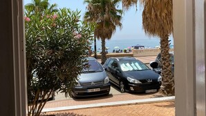 Blick durch eine Tür auf einen Parkplatz mit zwei Autos, Palmen und einem Strand im Hintergrund.