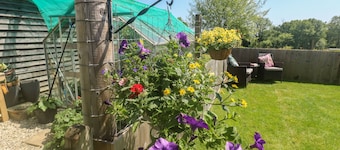 The Mews