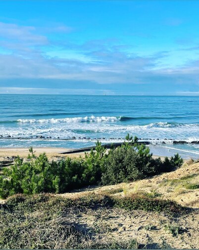 Château de Neyran Maison D'hôtes & Spa