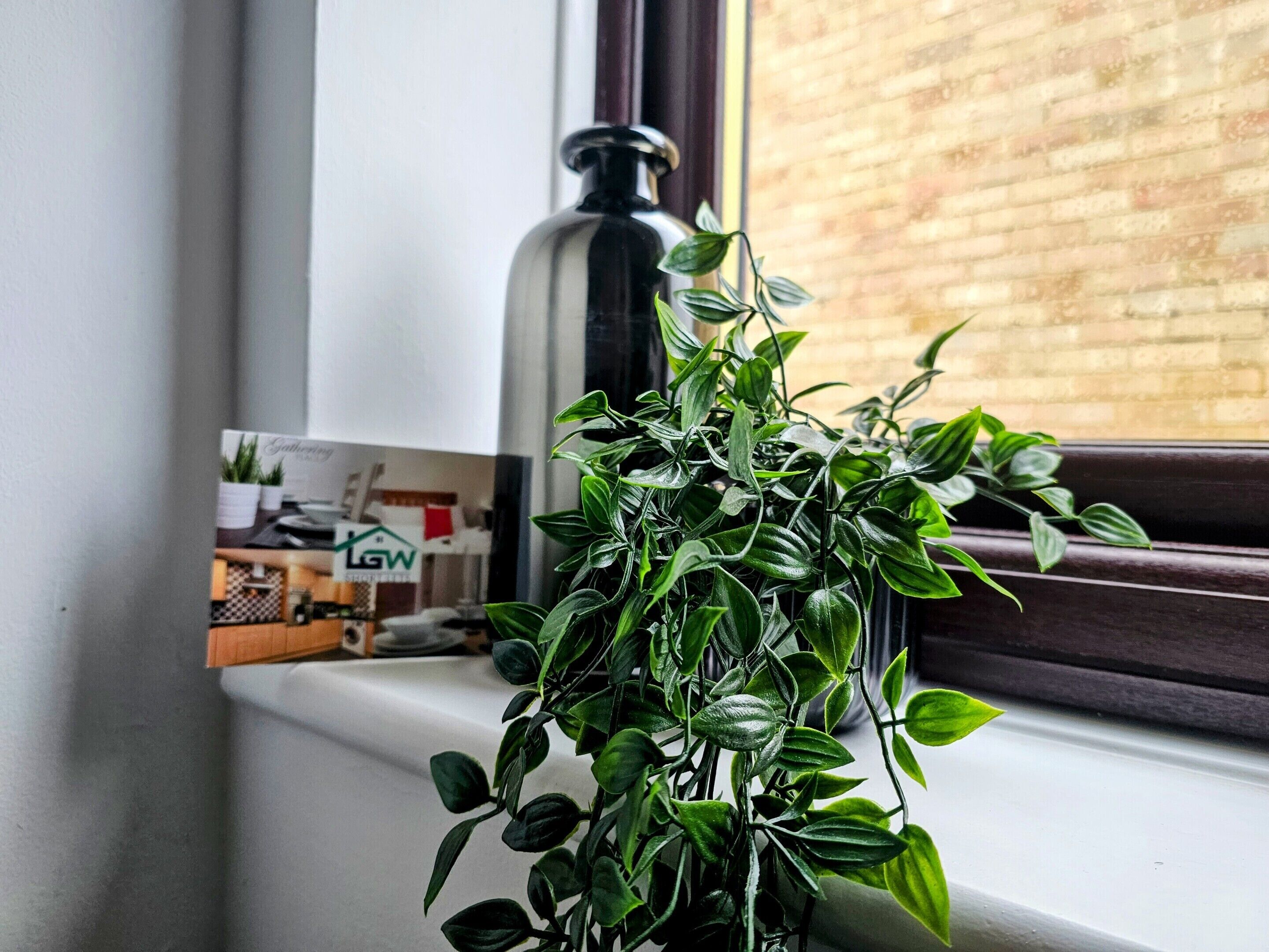 A potted plant on a windowsill with a view of a brick wall and a bottle in the background.