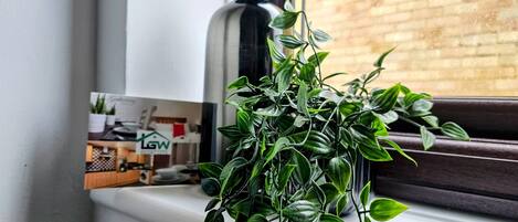 A potted plant on a windowsill with a view of a brick wall and a bottle in the background.
