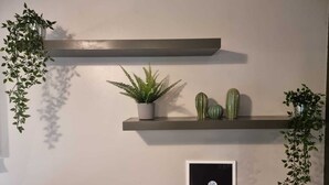 Una pared con dos estantes que sostienen plantas y un cuadro enmarcado.