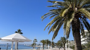 Une promenade en bord de mer, bordée de palmiers, agrémentée de bancs et surmontée d’un élégant kiosque blanc.