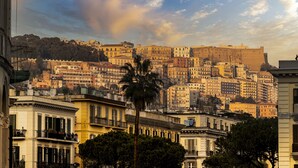 Un paisaje urbano con una fortaleza imponente en la cima de una colina, edificios urbanos densos y una palmera en primer plano.