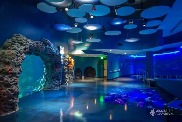A spacious lobby with a large aquarium, modern lighting, and a clear exit sign.