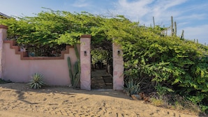 Een gebouw met een roze gevel, een overdekte ingang en een cactus op de voorgrond.