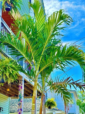 Exterior detail - Walnut Beach Escape Fenced Oasis Yard (Milford)