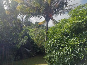 Property grounds - AWMONY'KAZ: Charming bungalow with swimming pool and Balneo jets. (Trois-Rivières)