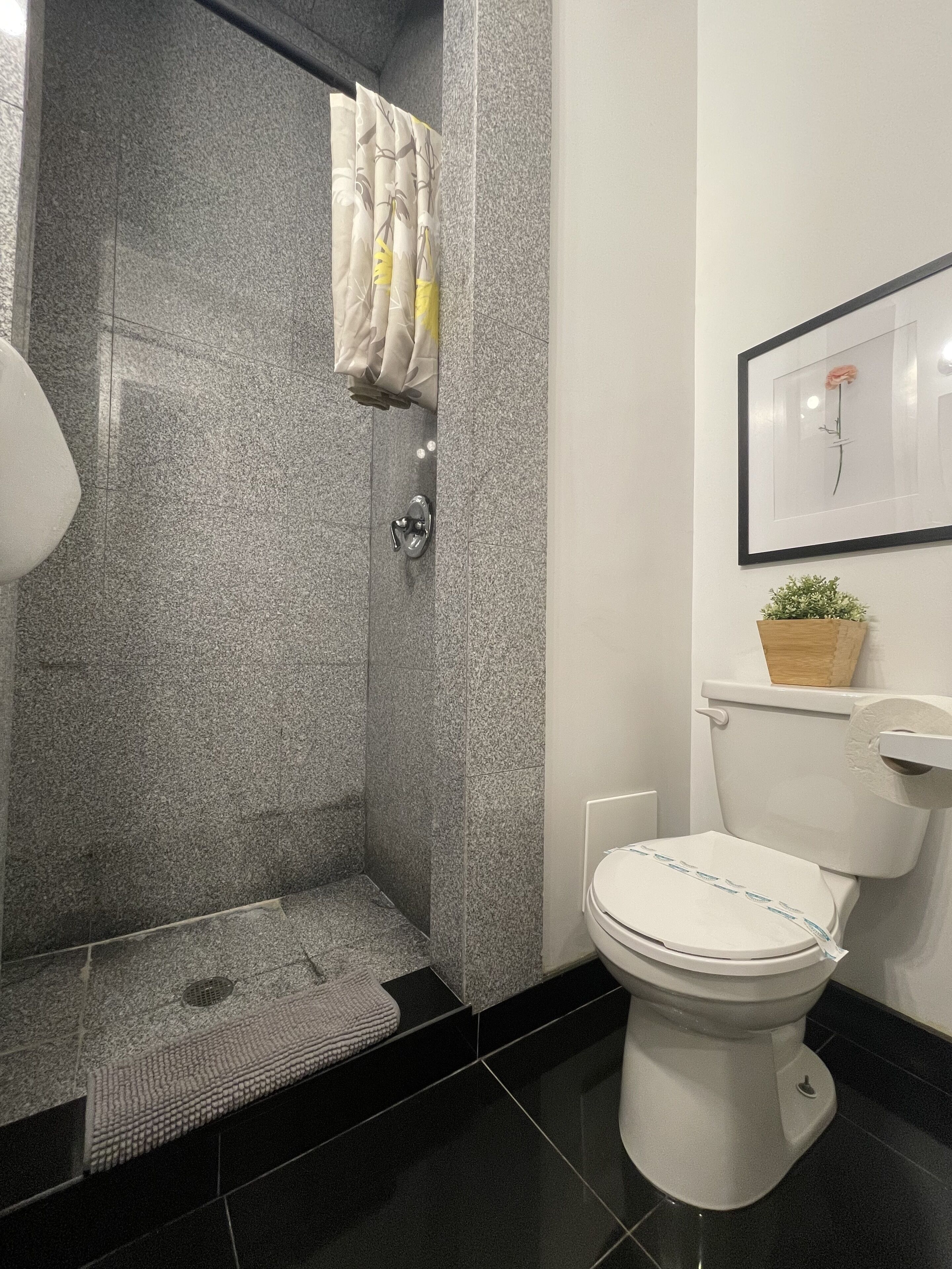 A bathroom with a shower, toilet, and a framed picture on the wall.