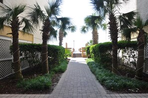 Property grounds - Oceanfront 8th Floor - Beach Gear Included - Walking distance to Main Street (North Myrtle Beach)