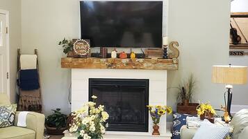 Smart TV, fireplace, books