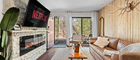 TV, fireplace, video games, stereo