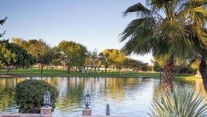 A tranquil park with a pond, trees, and a palm tree. - Lakefront Resort Villa - Heated Infinity Pool & 8-Seat Spa - Kayaks - 4BR (Mesa)