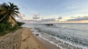 A beach with footprints, a palm tree, and a rocky shoreline.