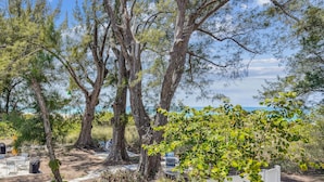 A serene outdoor area with large trees, a clear sky, and a view of the sea. - Mello on the Beach - Slow M'Ocean (Holmes Beach)