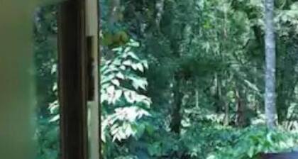 NaturaVista Stay Family rooms