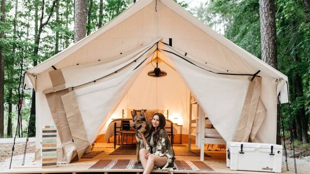 A tent with a central light fixture, a dog, and a person sitting outside. - Safari Tent Glamping at Unicoi in Helen GA - 12 (Helen)
