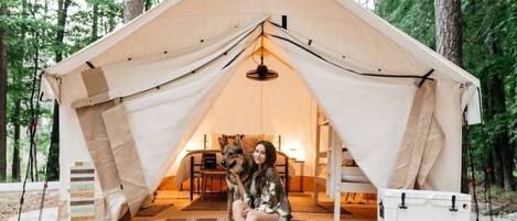 Áreas de la propiedad