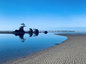 Ein Strand mit ruhigem Wasser, blauem Himmel und Felsformationen.