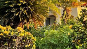 A lush garden with palm trees and various plants, a building with a white facade, and a clear sky. - Newly Renovated High-end 1 bedroom, 2 bathroom Wailea Condo close to beach (Kihei)