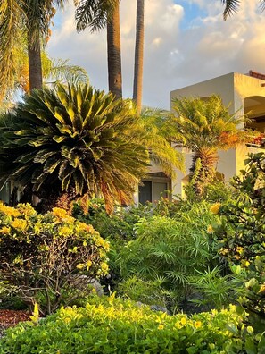 Parco della struttura