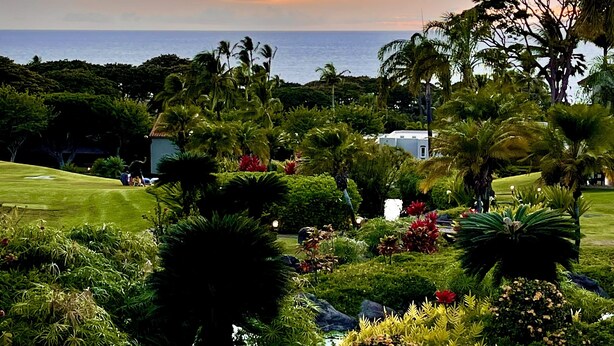 A pool with a view of a landscaped garden and the ocean at sunset. - Newly Renovated High-end 1 bedroom, 2 bathroom Wailea Condo close to beach (Kihei)