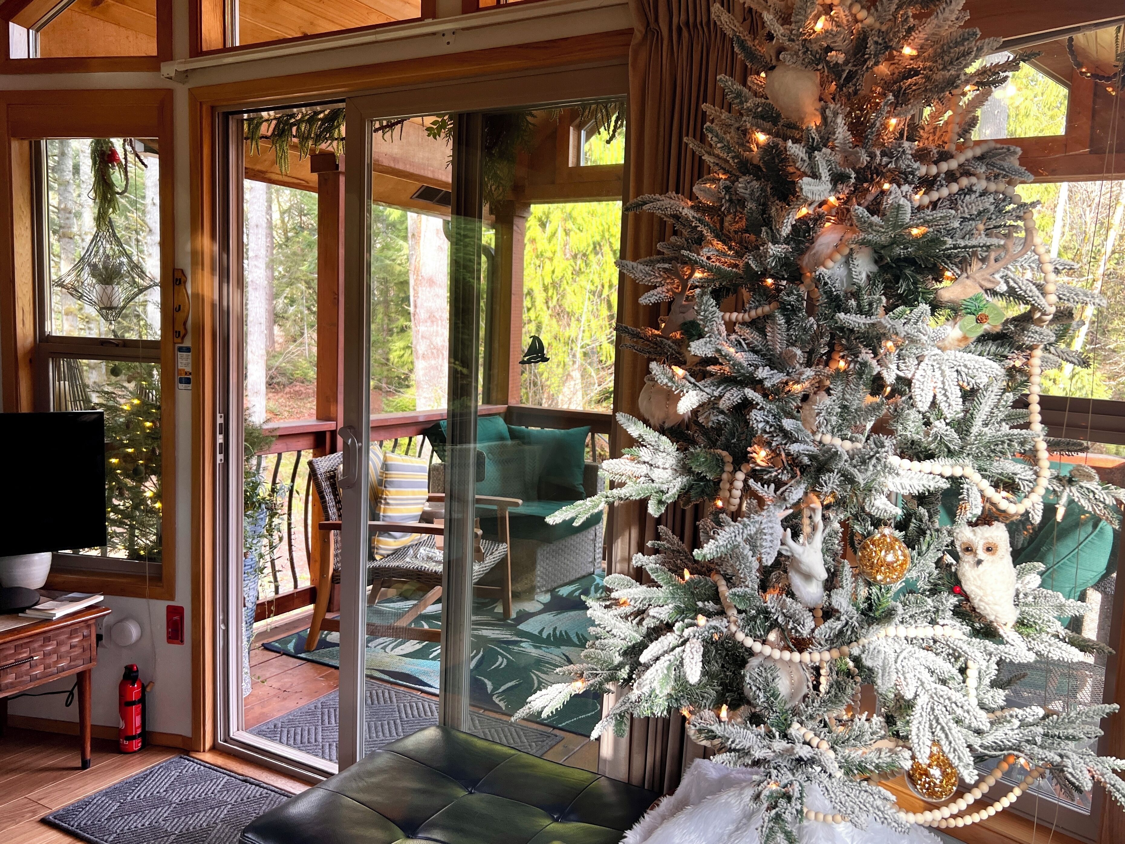 Älytelevisio, kirjoja, stereot