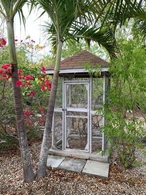 Terrein van de accommodatie